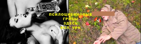 молекула духа Красноперекопск