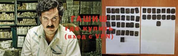 гашик Краснослободск