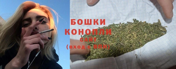 гашик Краснослободск