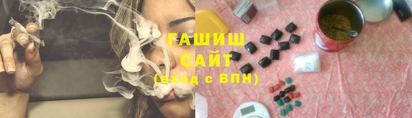 гашик Краснослободск