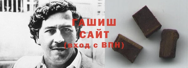 гашик Краснослободск