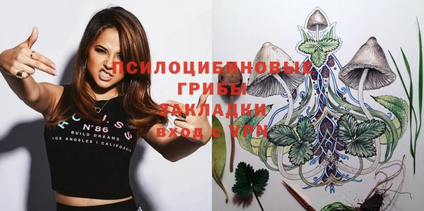 молекула духа Красноперекопск