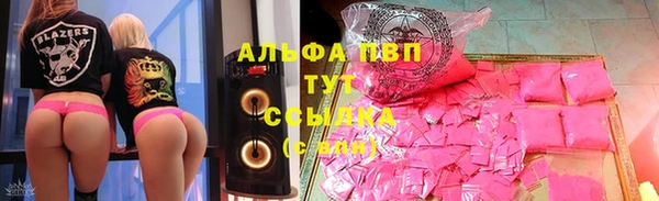 гашик Краснослободск