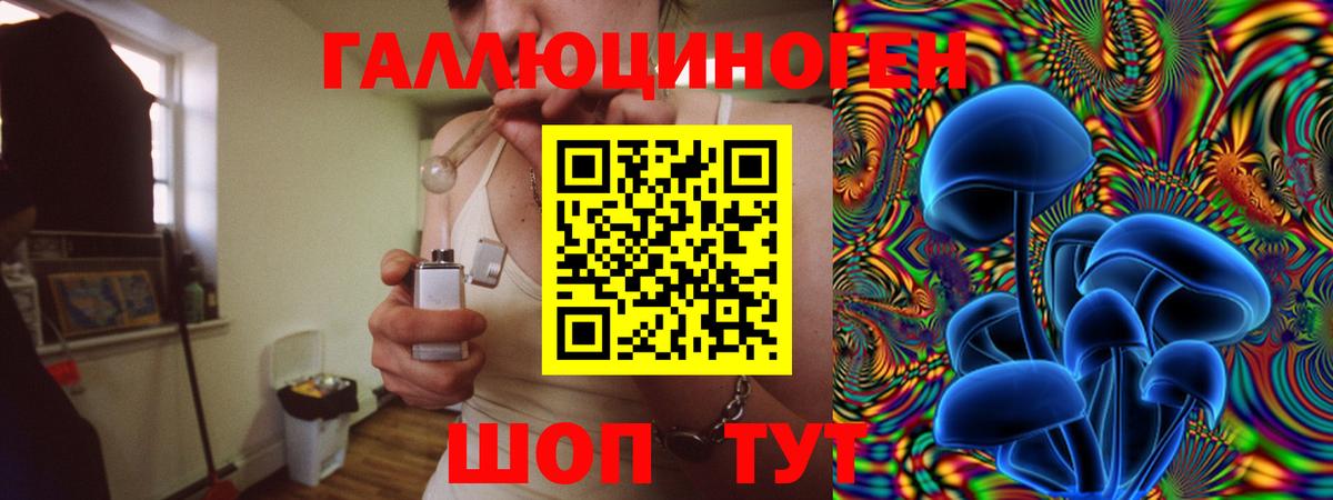 Псилоцибиновые грибы Psilocybine cubensis Махачкала